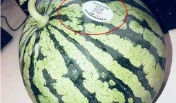 网红请吃瓜,揭秘网络红人的幕后故事