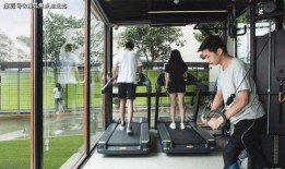 新澳今日最新爆料视频大全,今日最新爆料视频大盘点